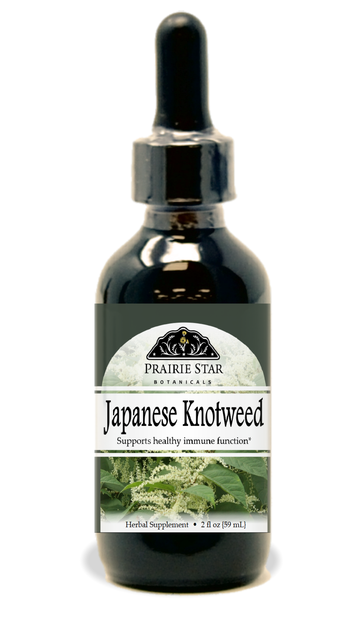 Japanese Knotweed Tincture