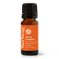 Joyful Creation (Sacral Chakra) Essential Oil