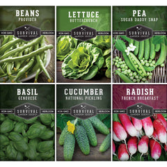 Kid’s Easy Garden Seed Collection – 6 Fast-Growing Vegetables & Herbs for Beginner Gardeners