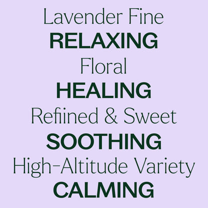 Lavender Fine Essential Oil