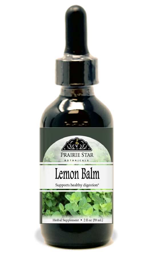 Lemon Balm Tincture or Glycerite