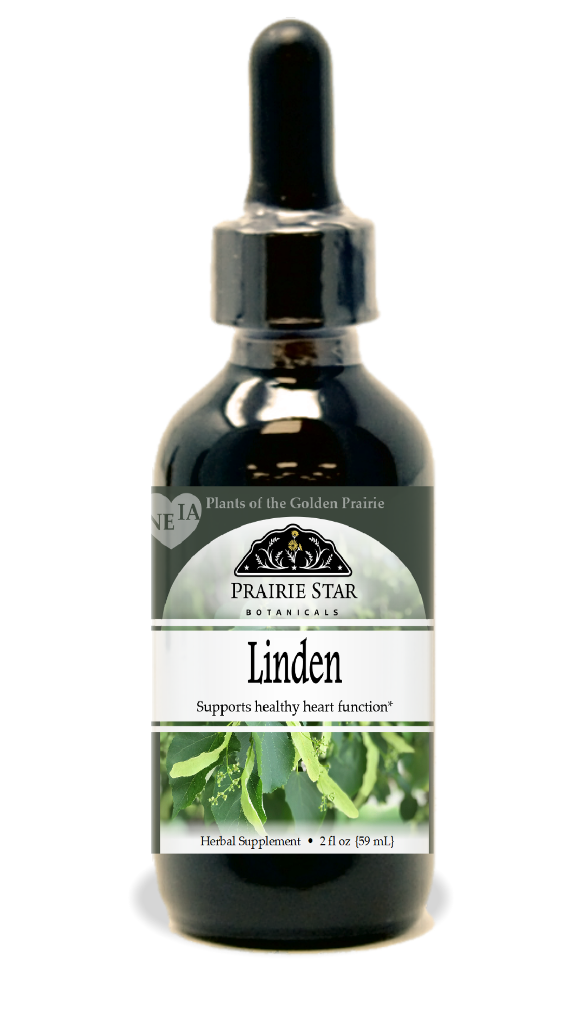 Linden Tincture or Glycerite