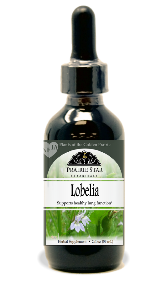 Lobelia Tincture