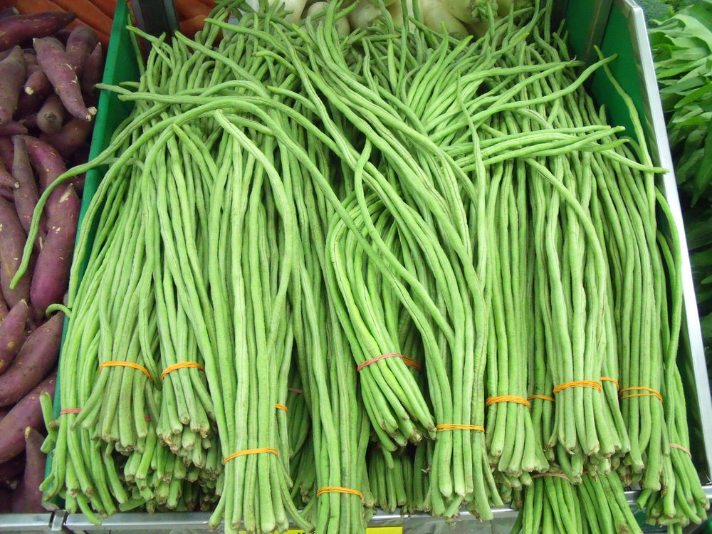 30 Yard Long Bean (Phaseolus Vulgaris) Seeds