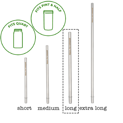 Individual Stainless Steel & Glass Straws for Mason Jars