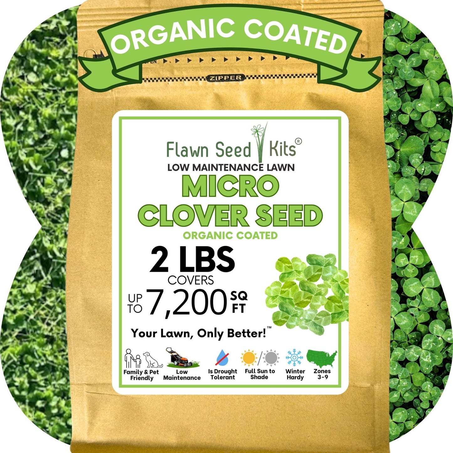 Micro Clover Seed