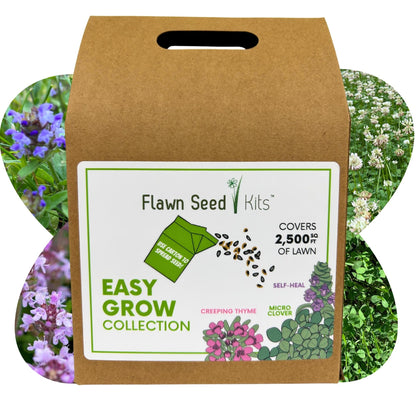 Easy Grow Micro Bee Lawn Eco-Friendly Kit