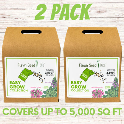Easy Grow Micro Bee Lawn Eco-Friendly Kit