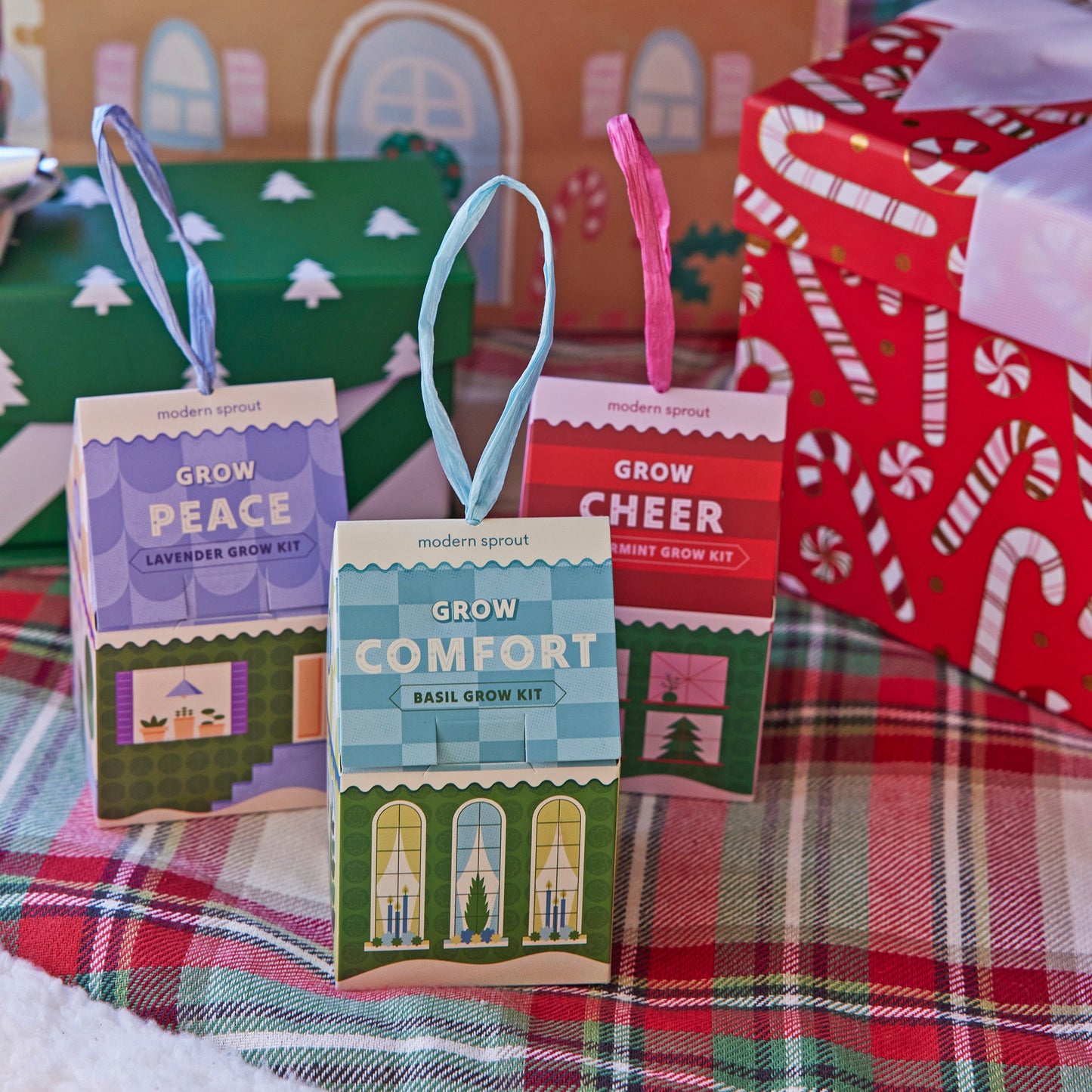 Home Grown (Plantable) Ornaments