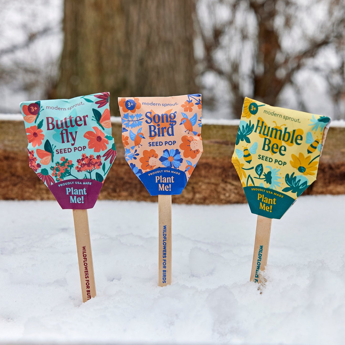 Seed Pops - Pollinator Edition