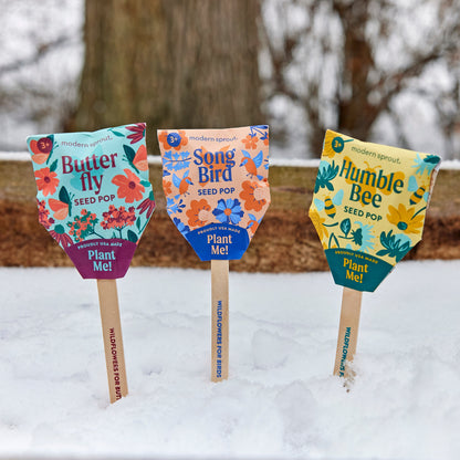 Seed Pops - Pollinator Edition