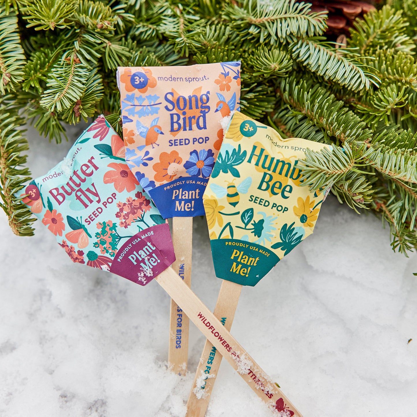 Seed Pops - Pollinator Edition