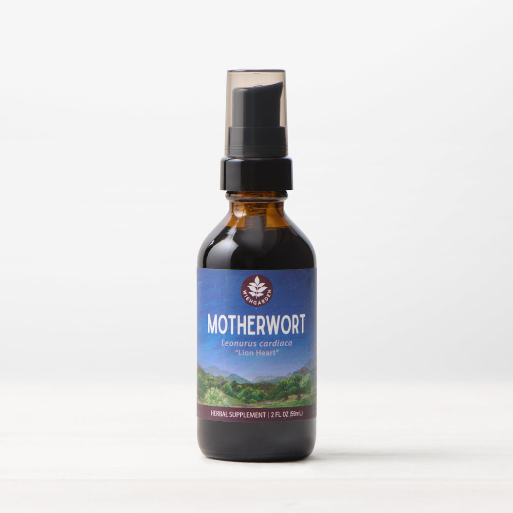 Motherwort Simple