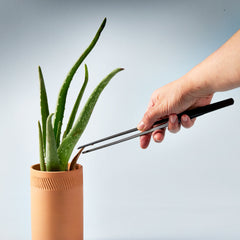 Precision Plant Tweezers