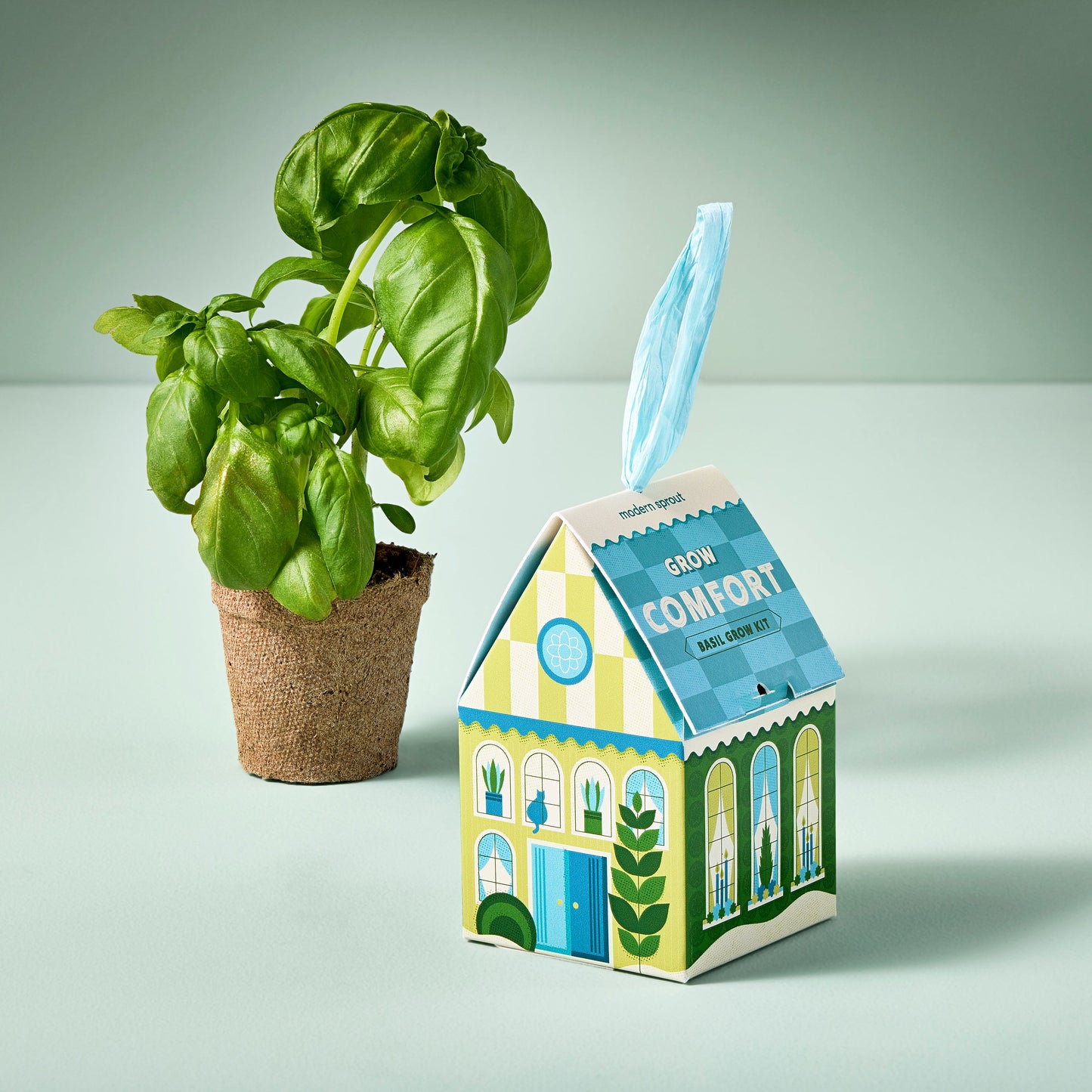 Home Grown (Plantable) Ornaments