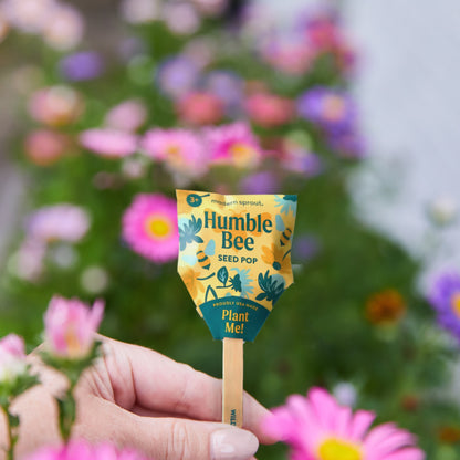 Seed Pops - Pollinator Edition