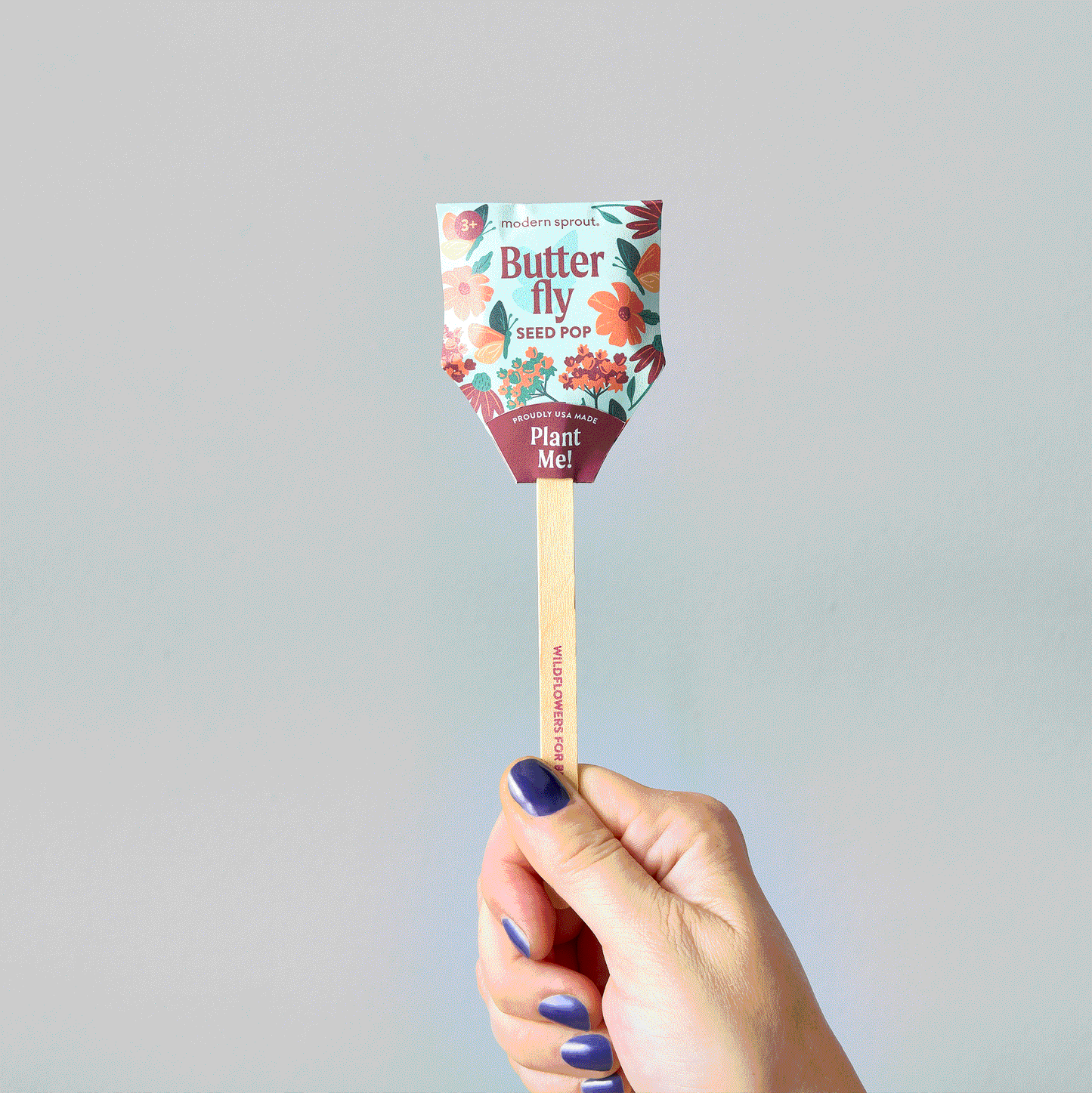 Seed Pops - Pollinator Edition