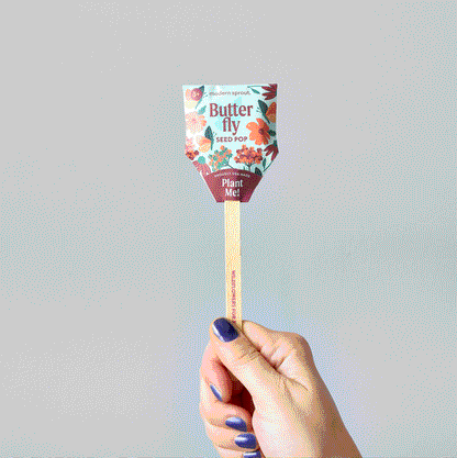 Seed Pops - Pollinator Edition