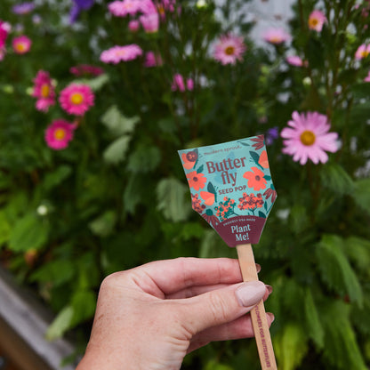 Seed Pops - Pollinator Edition