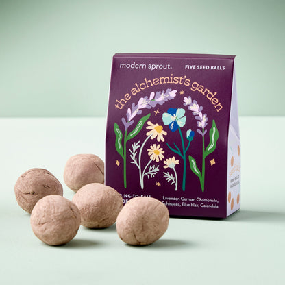 Bespoke Blooms Seed Balls