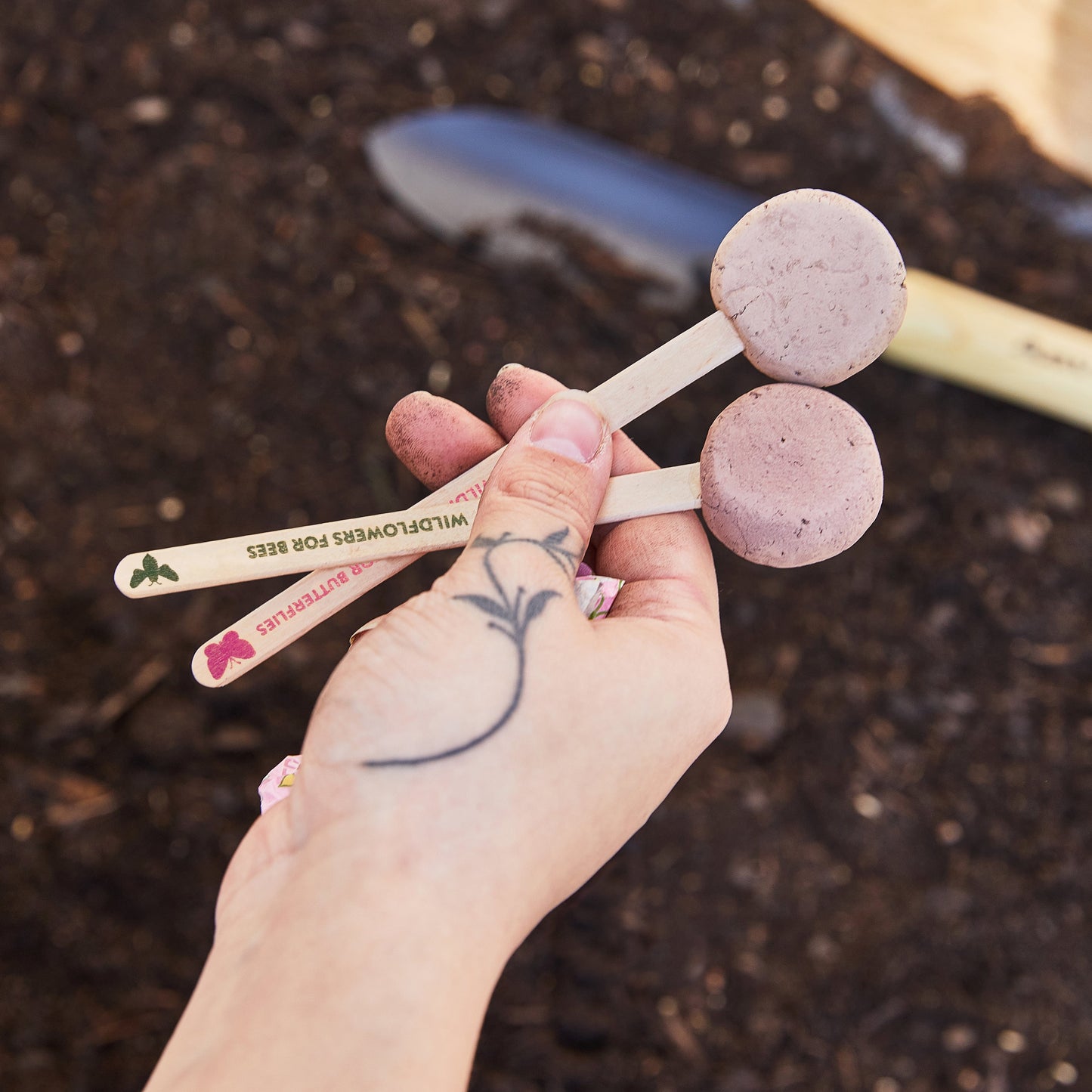 Seed Pops - Pollinator Edition