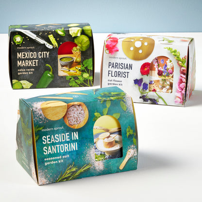 International Seed Collections + Accessories