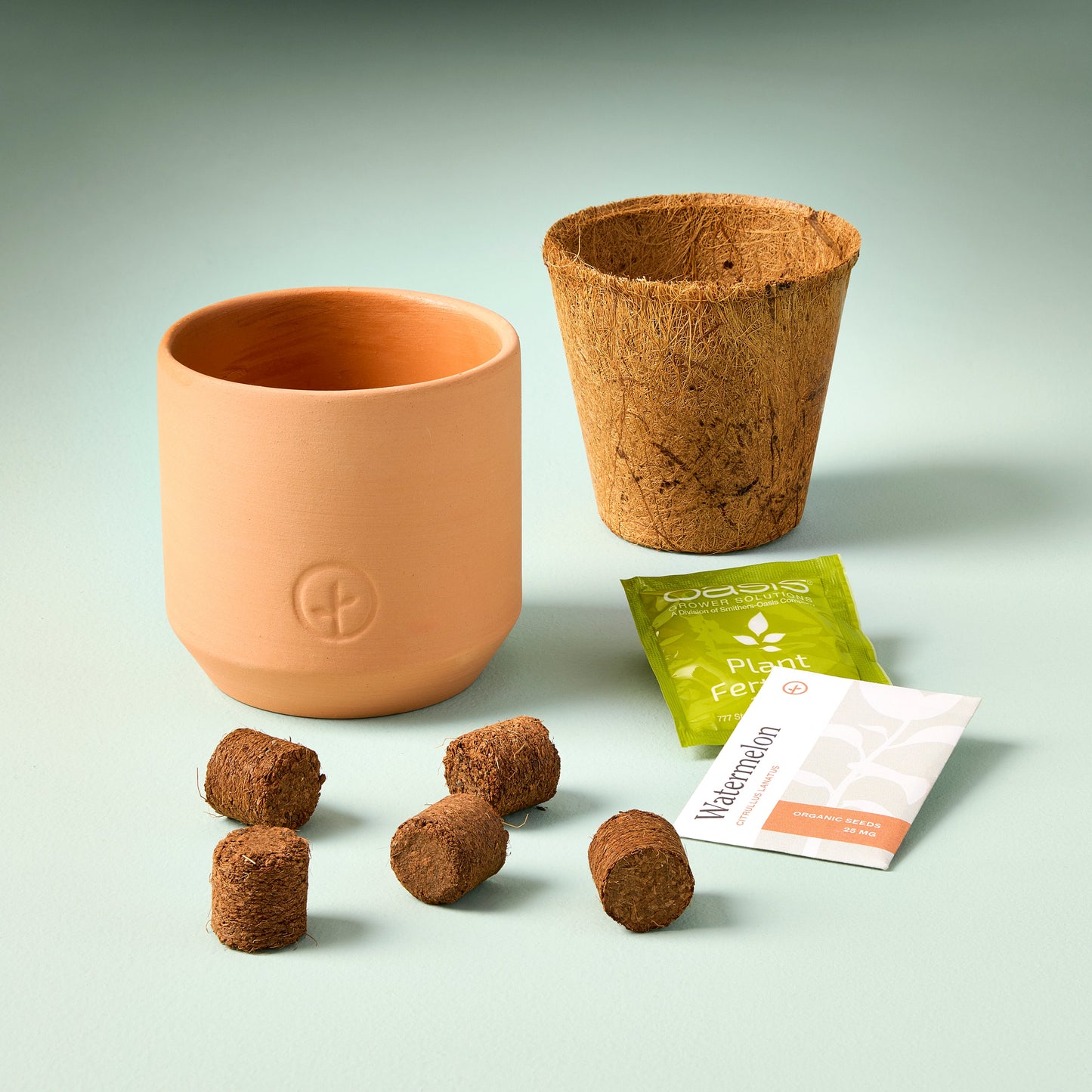 Tiny Terracotta Garden Kits: Seed Starting