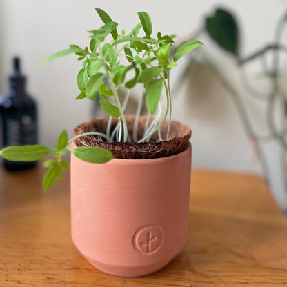 Tiny Terracotta Garden Kits: Seed Starting