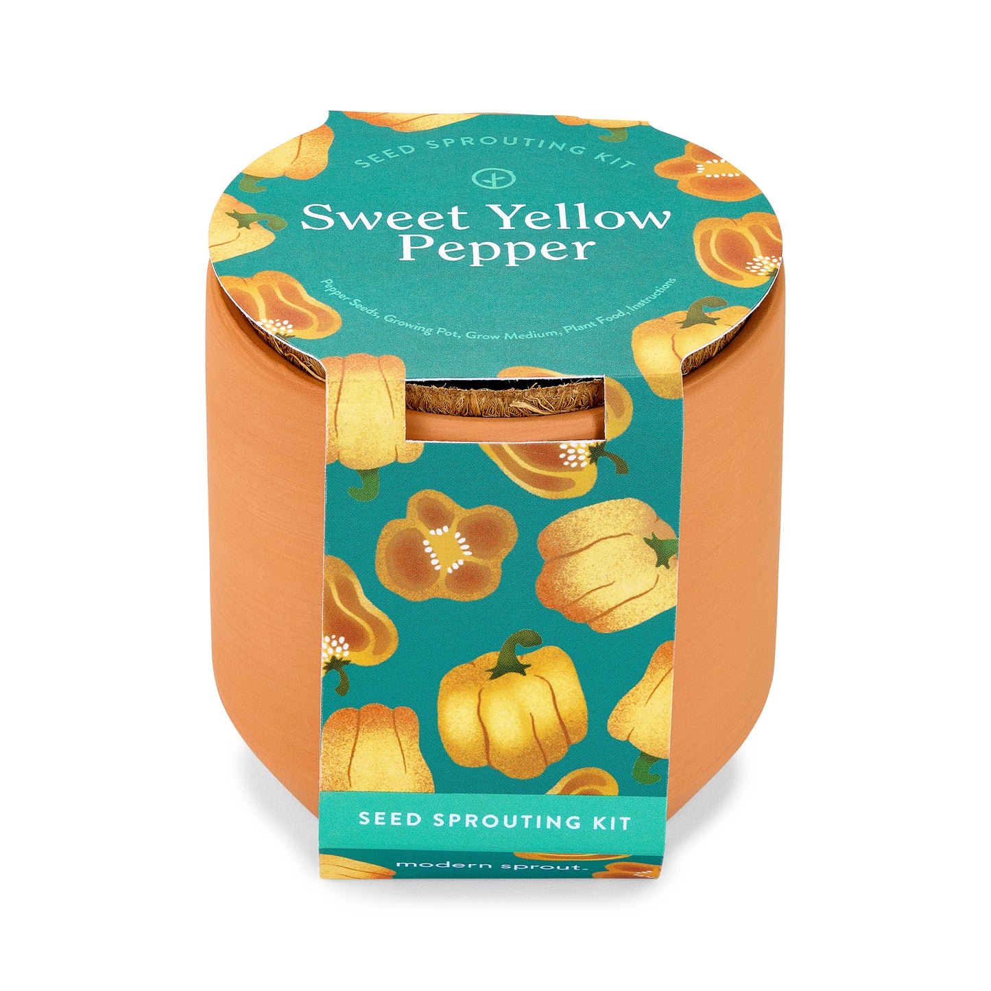 Tiny Terracotta Garden Kits: Seed Starting