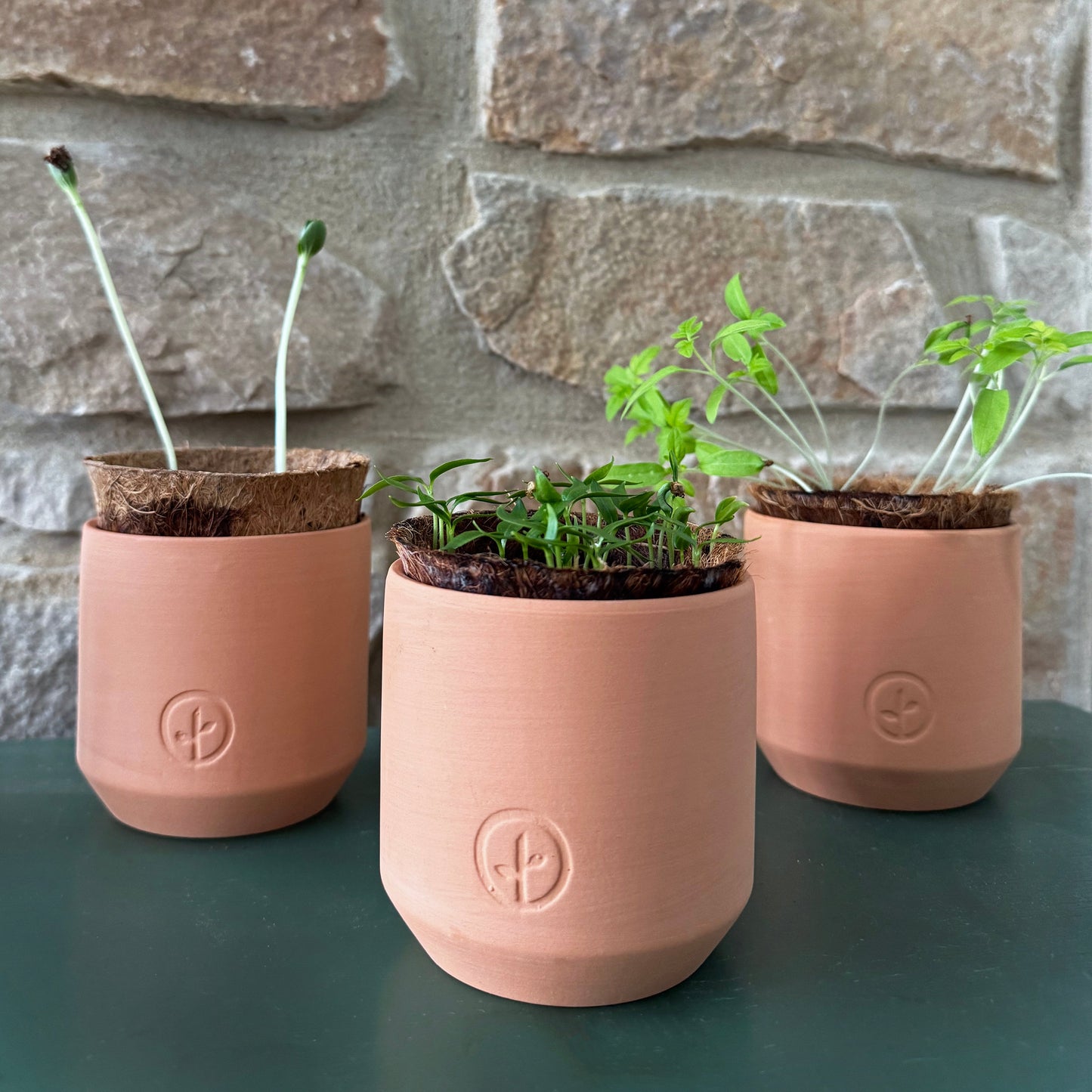 Tiny Terracotta Garden Kits: Seed Starting
