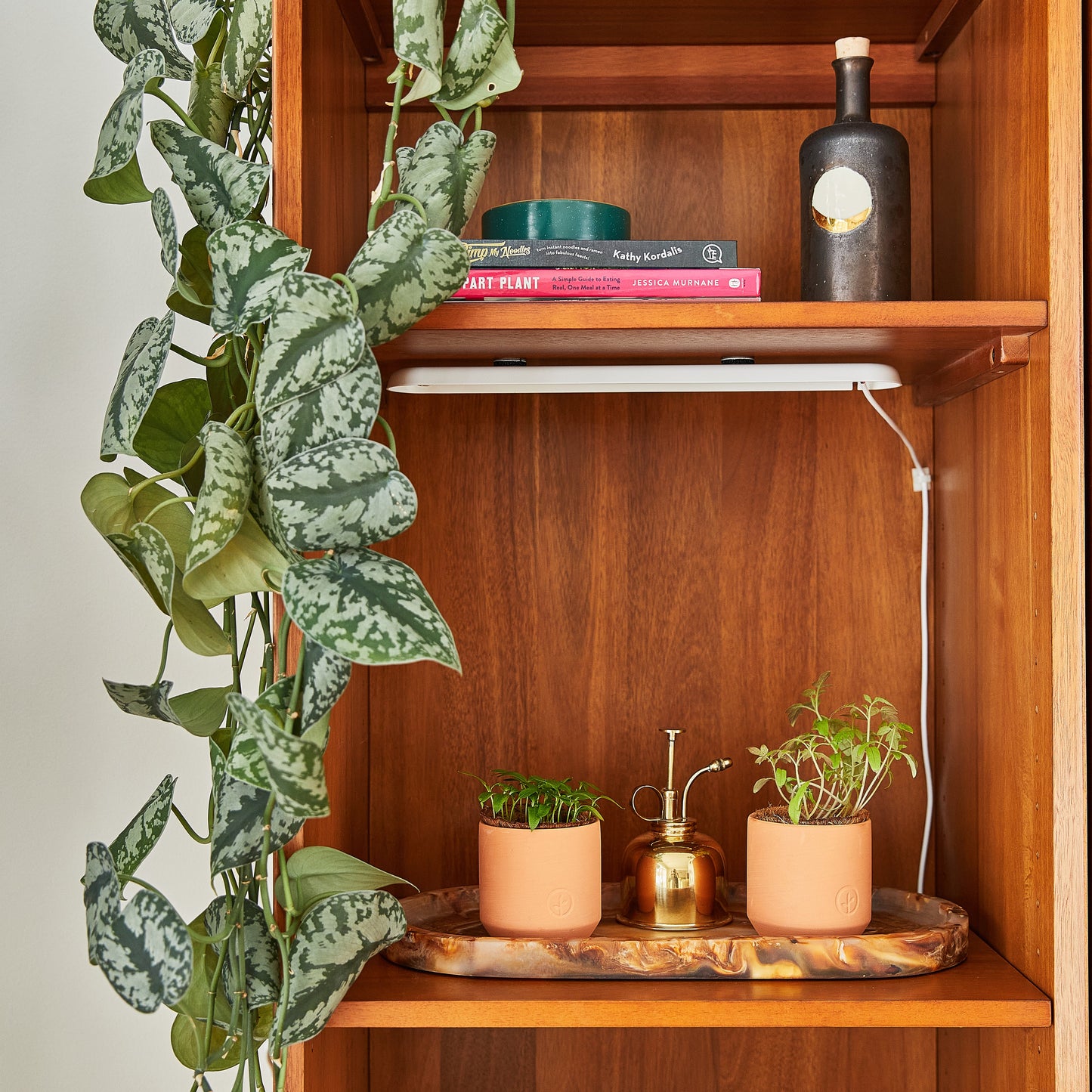 Tiny Terracotta Garden Kits: Seed Starting