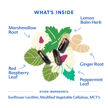 Morning Sickness Blend - Liquid Capsules
