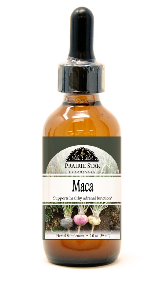 Maca Tincture