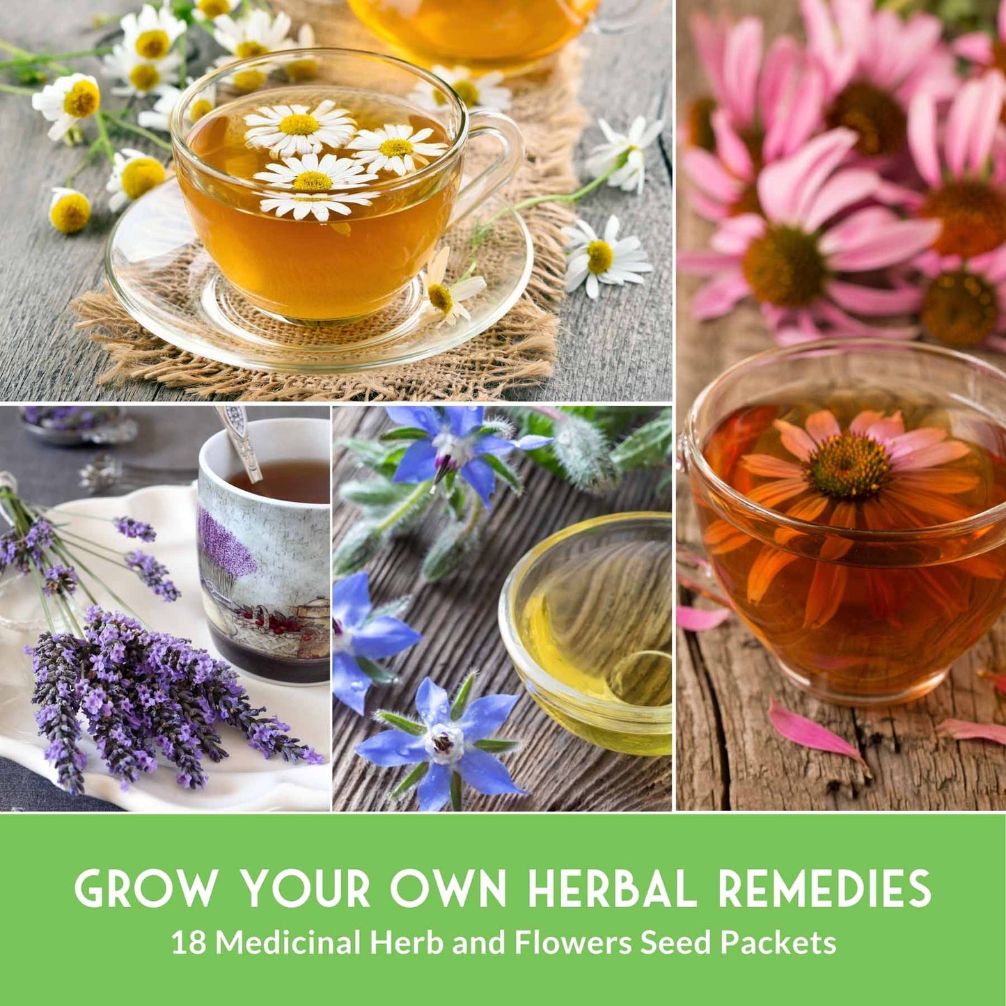 Medicinal Herb Seeds Collection – 18 Heirloom Non-GMO Herbs for Wellness, Tea & Home Apothecary Gardens (Lavender, Chamomile, Echinacea, Peppermint, Sage & More)