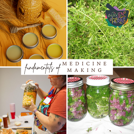 Exploring Wellness (November): Fundamentals of Medicine Making