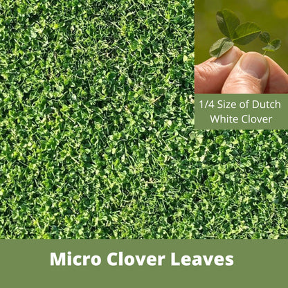 Micro Clover Seed Eco-Spread Carton