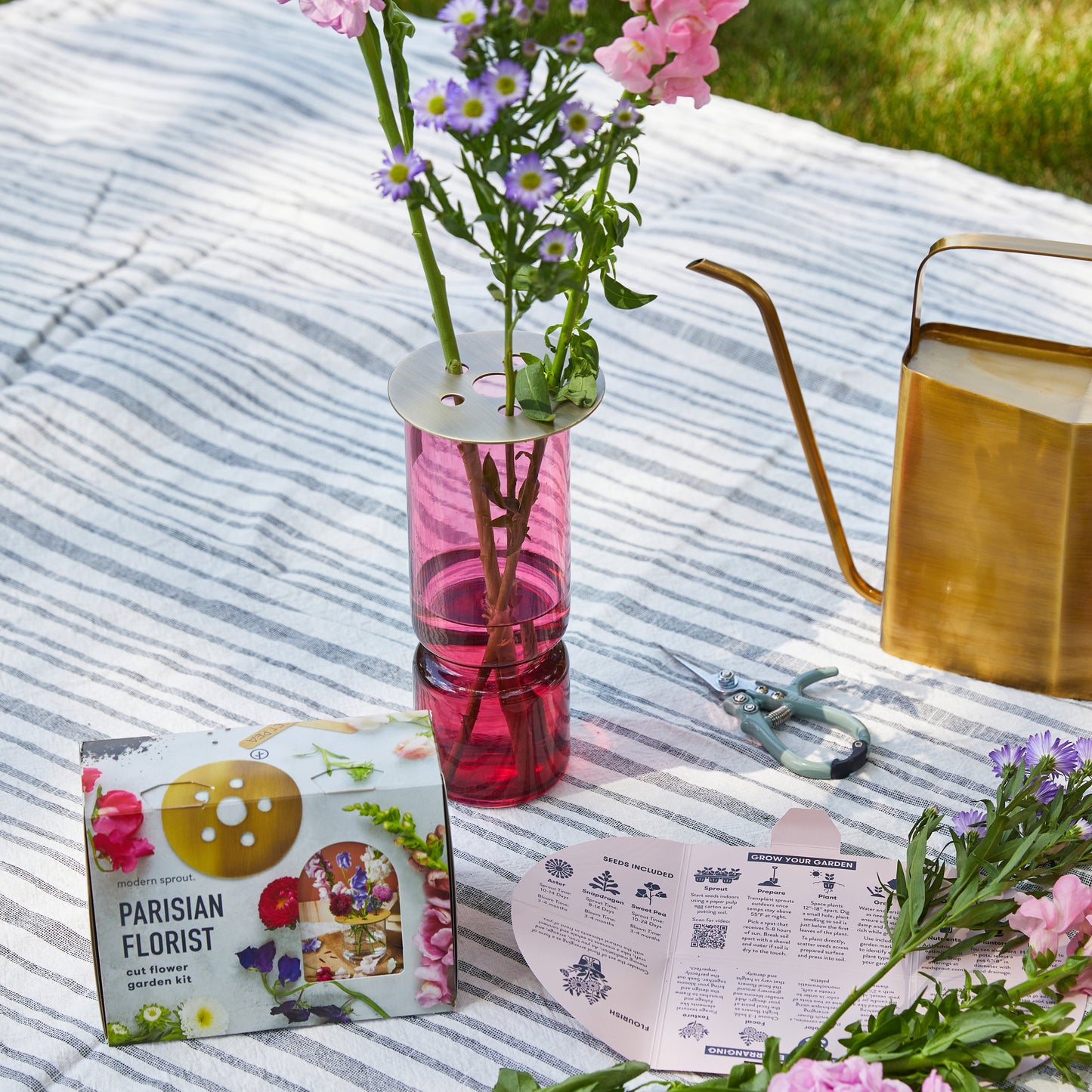 International Seed Collections + Accessories