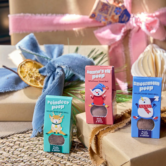 Jingle Plops: Festive Seed Bombs!