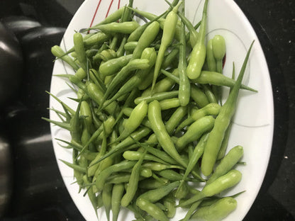 Moongre-Radish Pods