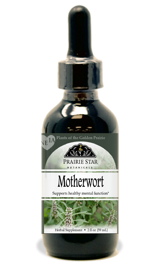 Motherwort Tincture or Glycerite