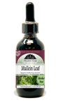 Mullein Tincture or Glycerite