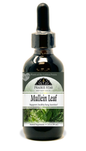 Mullein Tincture or Glycerite
