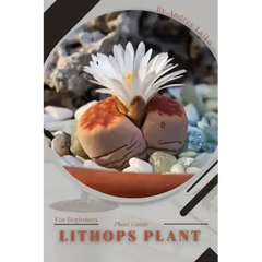 Lithops Plant: Plant Guide - Paperback
