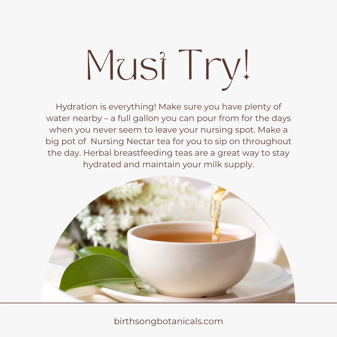 Nursing Nectar Herbal Breastfeeding Tea