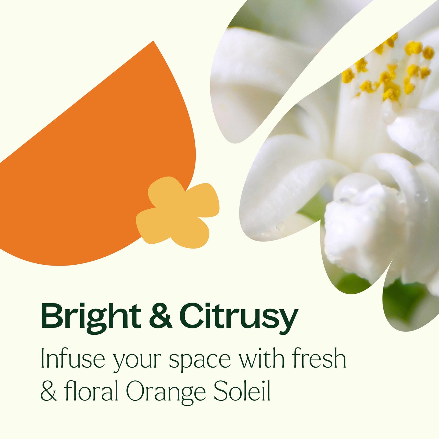 Orange Soleil Naturally Scented Candle