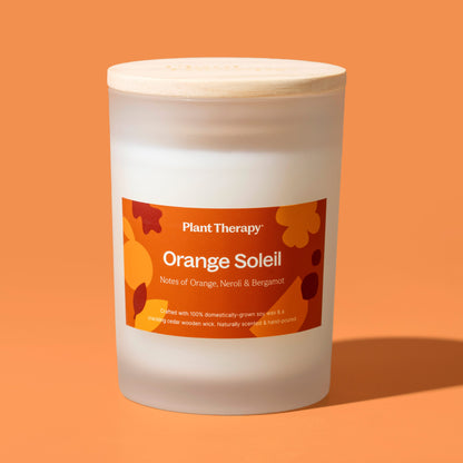 Orange Soleil Naturally Scented Candle