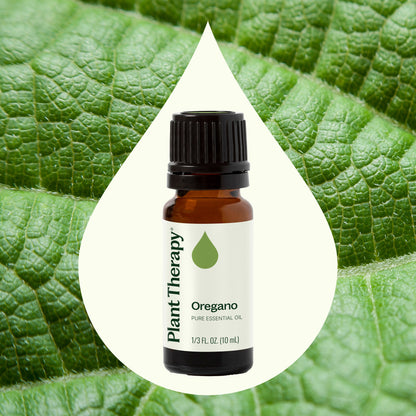 Oregano Essential Oil