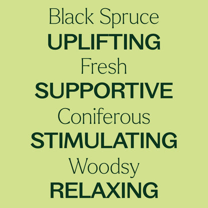 Organic Black Spruce Essential Oil