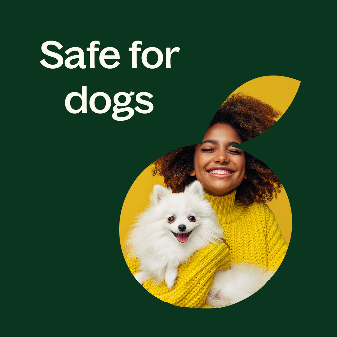 Organic Lemongrass Essential Oil