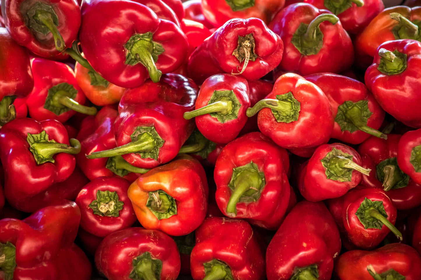 60 Red Marconi Pepper (Capsicum Annuum) Seeds